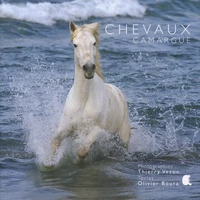 Chevaux Camargue