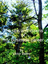 The Ups And Downs Of My Business Career