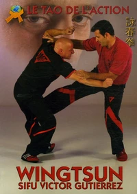 WingTsun