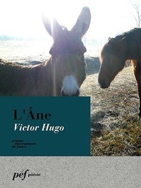 Victor Hugo - L'Âne.