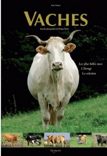 Victor Siméon - Vaches - Les plus belles races, l'élevage, la sélection.