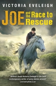 Victoria Eveleigh - Joe and the Race to Rescue - Book 3.