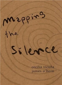 Mapping the Silence