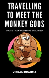 Travelling To Meet The Monkey Gods