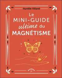 Le mini-guide ultime du magnétisme