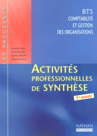 Activites Professionnelles De Synthese Bts Cgo 1ere Annee