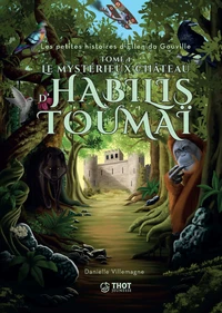 Le mystérieux château d'Habilis Toumaï