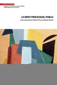 Le droit processuel public