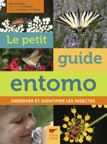 Vincent Albouy - Le Petit Guide d'entomo - Observer et identifier les insectes.