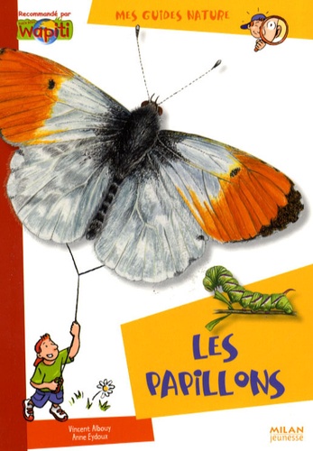 Vincent Albouy - Les papillons.