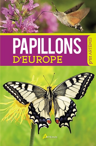 Vincent Albouy - Papillons d'Europe.