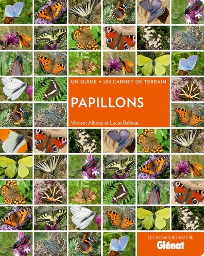 Vincent Albouy - Papillons - Un guide + un carnet de terrain.