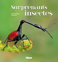 Surprenants insectes.pdf