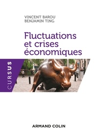 Vincent Barou et Benjamin Ting - Fluctuations et crises économiques.