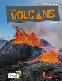 Vincent Coigny - Les volcans.