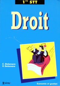 Vincent Delamare et C Delamare - Droit, dossiers - 1re STT.