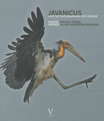 Vincent Foong - Javanicus - L'art de photographier les oiseaux.
