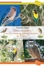 Vincent Gaget - Petites anecdotes sur les oiseaux extraordinaires de France.