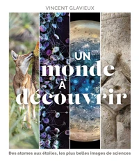 Les plus belles images de science