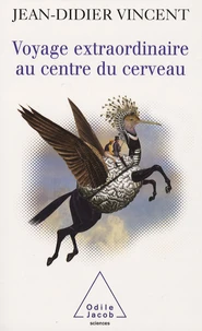 Voyage extraordinaire au centre du cerveau