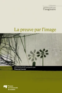 La preuve par l'image