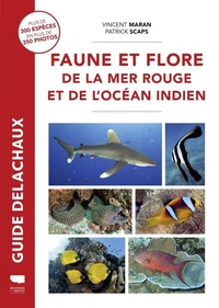 Faune et flore de la mer Rouge