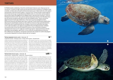La Méditerranée sous-marine. Guide d'initiation à sa faune et et à sa flore