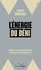 L'énergie du déni. Comment la transition énergétique va augmenter les émissions de CO2