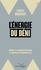 L'énergie du déni. Comment la transition énergétique va augmenter les émissions de CO2