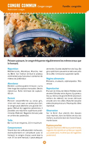 Poissons de mer. Observer et reconnaître 50 espèces de notre littoral