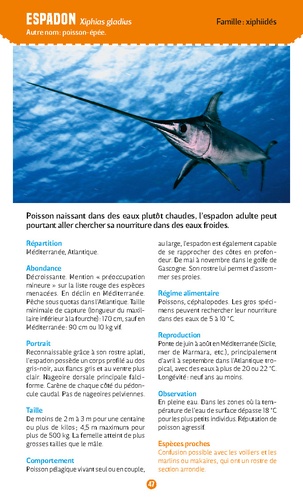 Poissons de mer. Observer et reconnaître 50 espèces de notre littoral