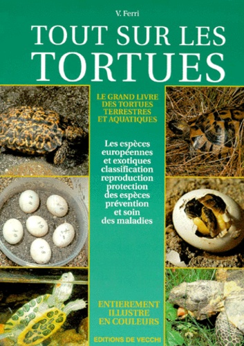 Vincenzo Ferri - Tout Sur Les Tortues.