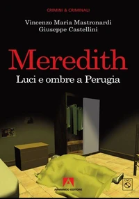 Meredith. Luci e ombre a Perugia