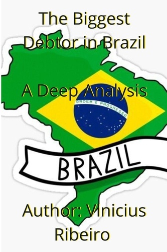  Vinicius Ribeiro - The Biggest Debtor in Brazil  A Deep Analysis.