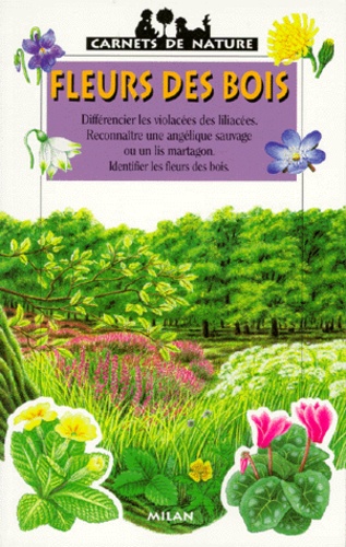 Violette Rennert - Fleurs des bois.