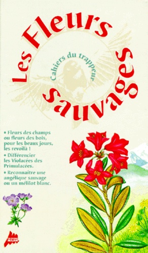 Violette Rennert et Frédéric Lisak - Les fleurs sauvages.