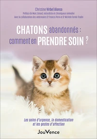 Chatons abandonnés : comment en prendre soin ?