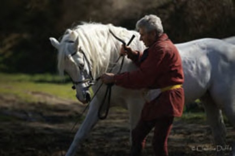 L'éducation du cheval dans la joie