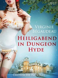 Heiligabend in Dungeon Hyde - Erotische Novelle