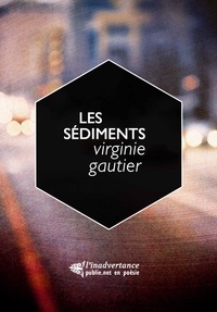 Virginie Gautier - Les Sédiments - de la ville et du paysage comme expérience et mouvement.