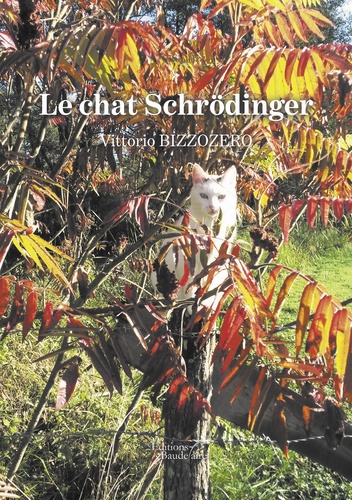 Le chat Schrödinger