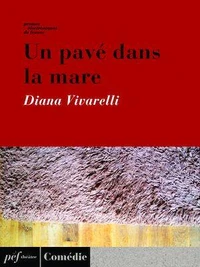 Un pavé dans la mare