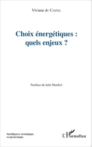 Viviane Du Castel - Choix énergétiques : quels enjeux ?.