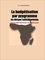 La budgétisation par programme en Afrique subsaharienne. Entre balbutiements et résistances