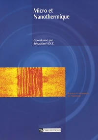 Micro et nanothermique