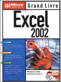 Excel 2002