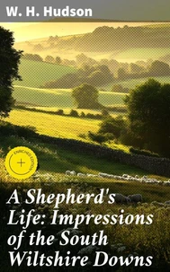 A Shepherd's Life: Impressions of the South Wiltshire Downs