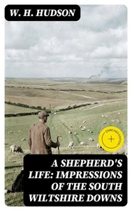 A Shepherd's Life: Impressions of the South Wiltshire Downs