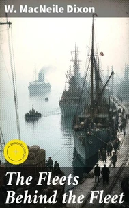 The Fleets Behind the Fleet