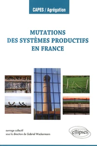 Les mutations des systèmes productifs en France